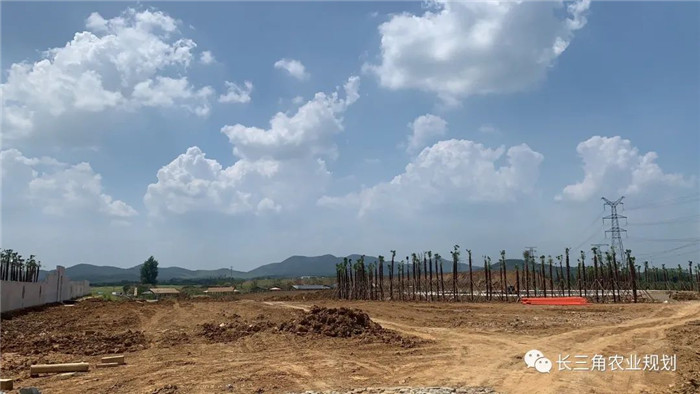 為了幫助園區(qū)的提檔升級，南京市農(nóng)業(yè)農(nóng)村局特委托中農(nóng)富通編制《南京市農(nóng)業(yè)園區(qū)發(fā)展研究報告》，以期從產(chǎn)業(yè)發(fā)展路徑、園區(qū)發(fā)展模式、保障措施等多維度為南京市農(nóng)業(yè)園區(qū)未來三年的發(fā)展做統(tǒng)籌謀劃。 8月19日，中農(nóng)(圖11)