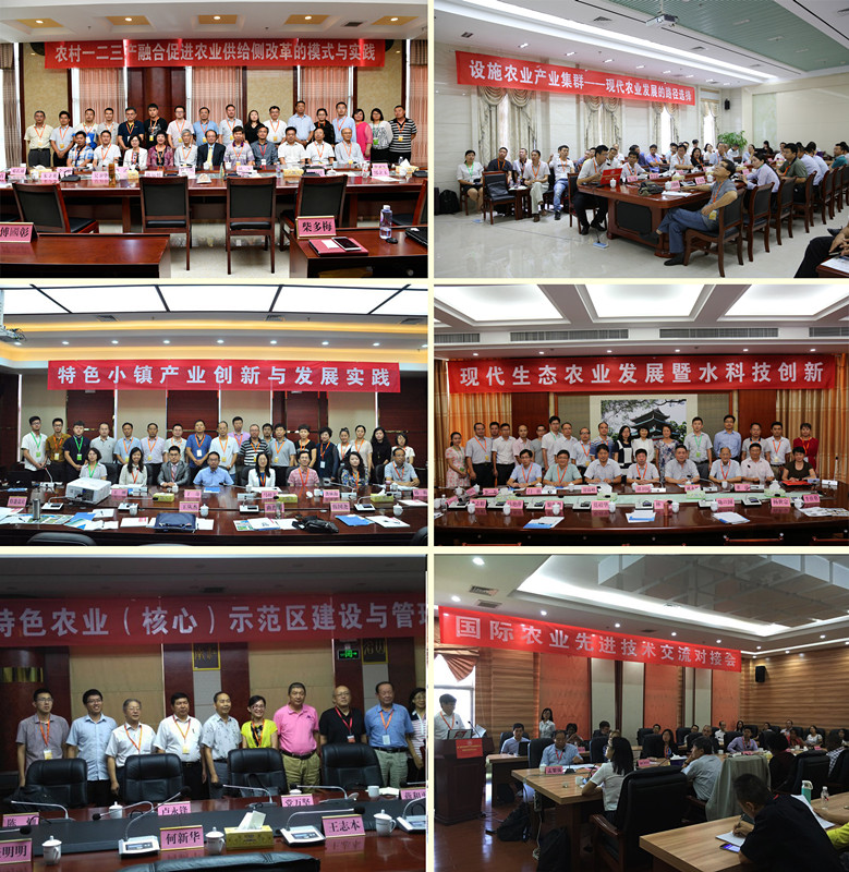 19 圖十九.jpg