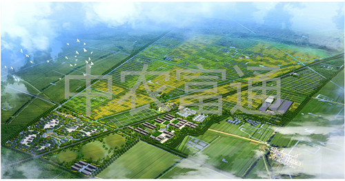 1、安徽省亳州市渦陽縣糧食產(chǎn)業(yè)現(xiàn)代農(nóng)業(yè)示范區(qū)總體規(guī)劃（2011-2015年）_副本.jpg