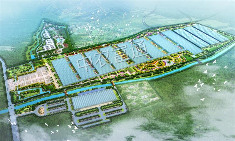 3廣西“五彩田園”現(xiàn)代特色農(nóng)業(yè)示范區(qū)_meitu_1.jpg