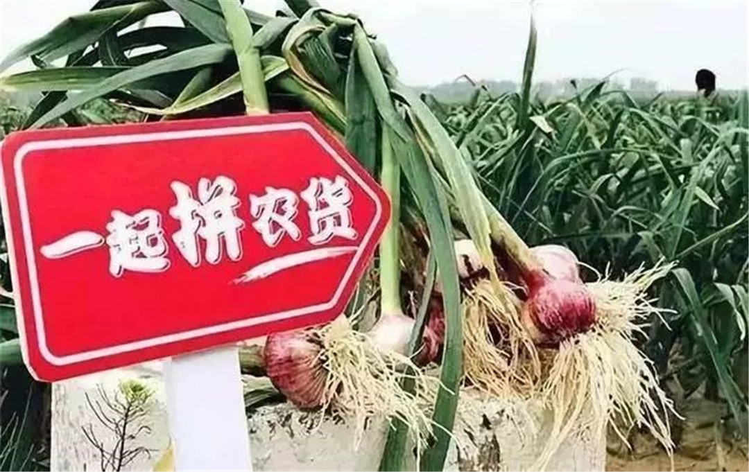 微信圖片_20200102180449.jpg