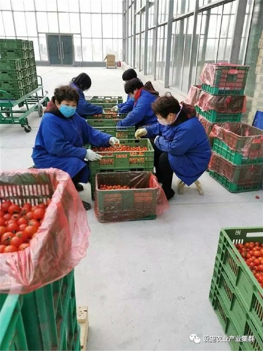 微信圖片_20200317094501.jpg