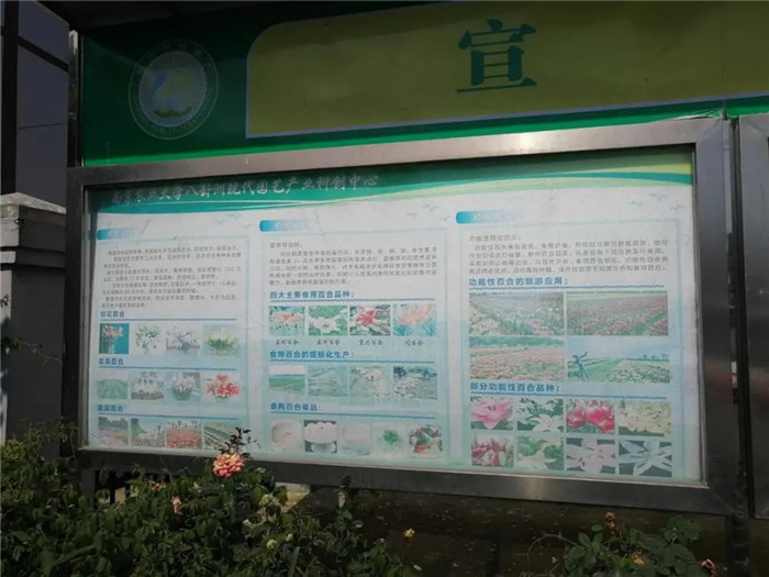 微信圖片_20200820142301.jpg
