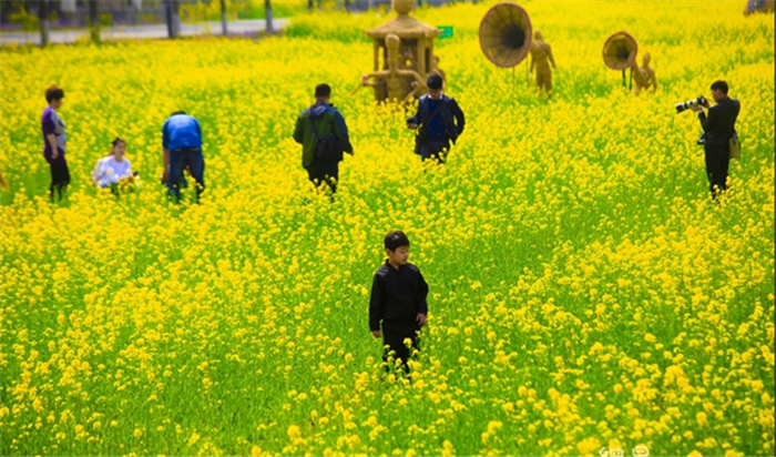 微信圖片_20200903152227.png