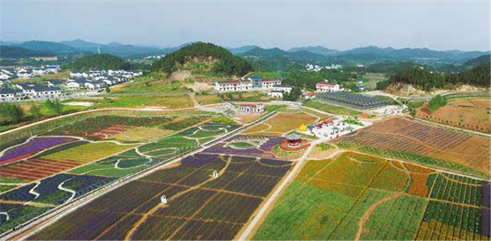 微信圖片_20200903152234.png