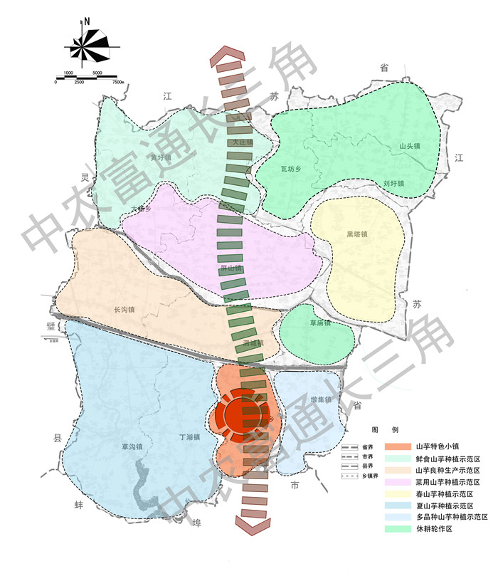 泗縣山芋產(chǎn)業(yè)發(fā)展規(guī)劃(圖1)