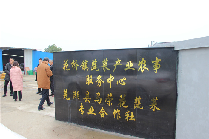 《灣沚區(qū)花橋鎮(zhèn)十四五現(xiàn)代農(nóng)業(yè)發(fā)展規(guī)劃》初期調(diào)研工作順利完成！(圖6)