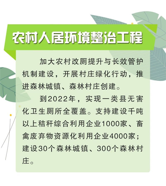 【安徽】(圖8)